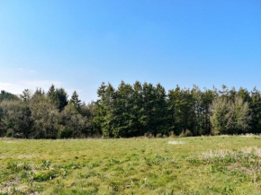Old Highwood - Piggy In The Middle